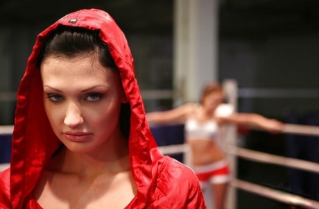 Stunning knockouts have a rough catfight ending up with pussy licking action 60883540
